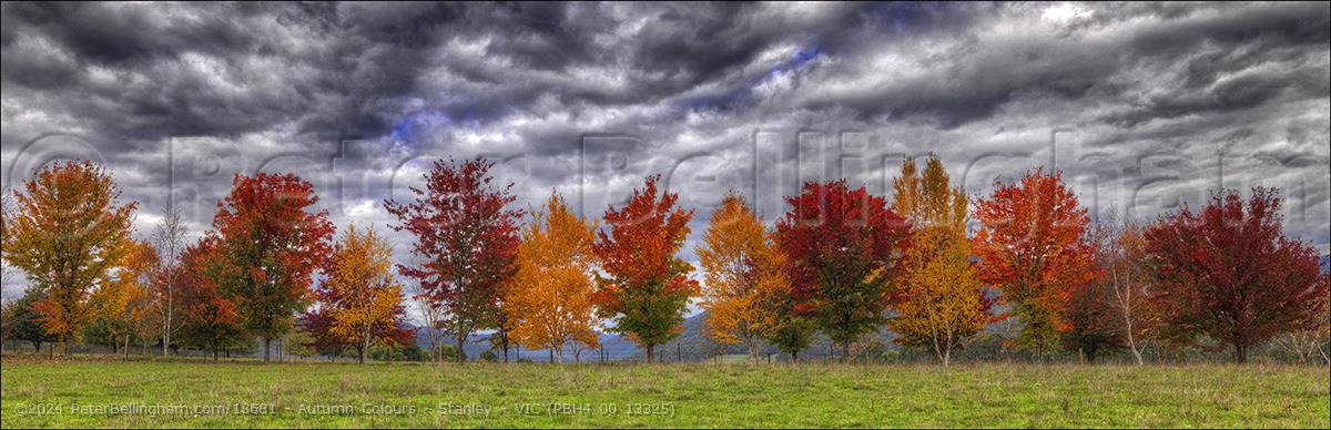 Peter Bellingham Photography Autumn Colours - Stanley - VIC (PBH4 00 13325)